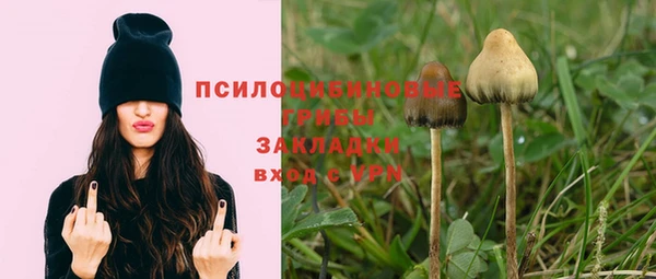 mdpv Аркадак