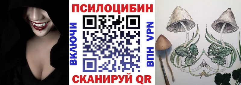 закладка  Белово  Псилоцибиновые грибы MAGIC MUSHROOMS 