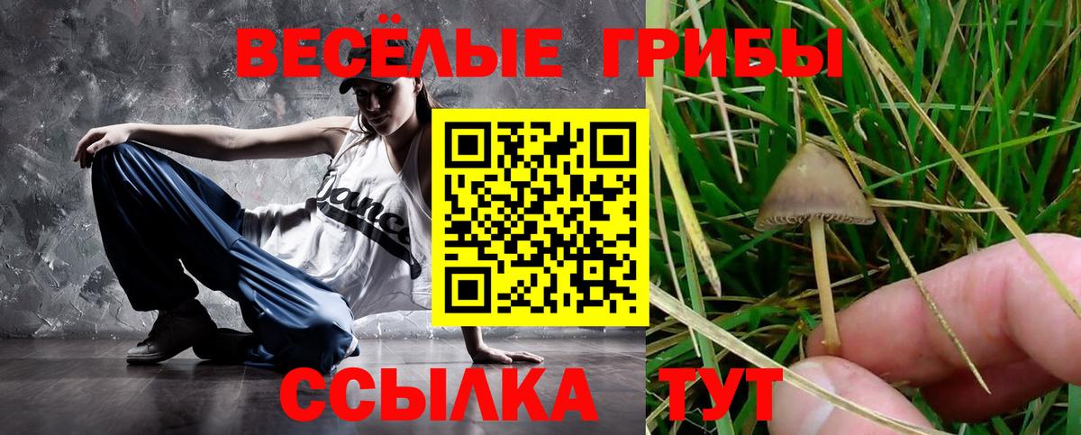Белово  Псилоцибиновые грибы Magic Shrooms  Вход с VPN  Псилоцибиновые грибы ЛСД 