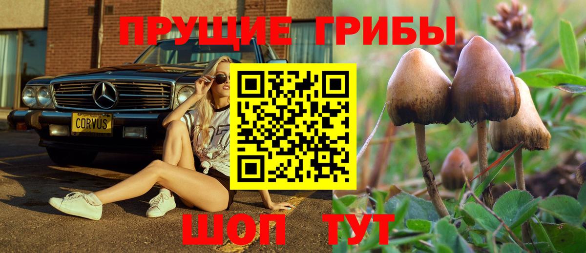 Псилоцибиновые грибы MAGIC MUSHROOMS Белово